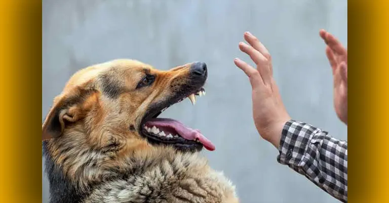 প্রতীকী ছবি